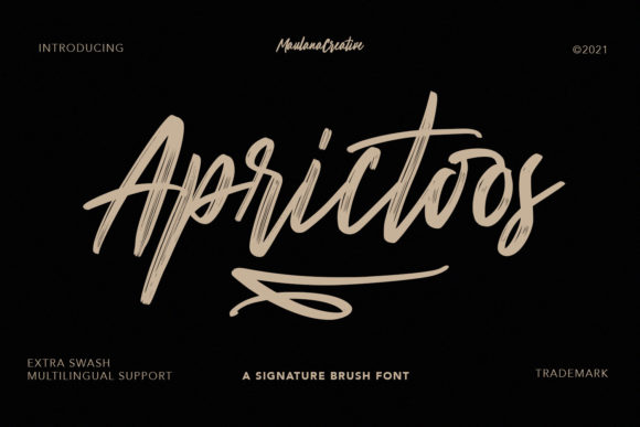 Aprictoos: A Stylish Script Font for Digital Marketing