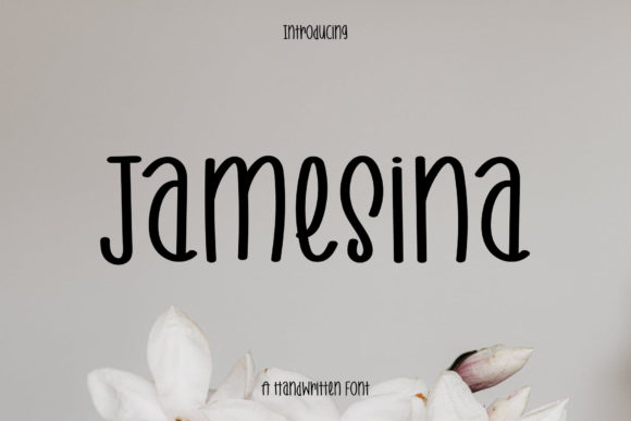 Jamesina: A Friendly Font for Polished Branding