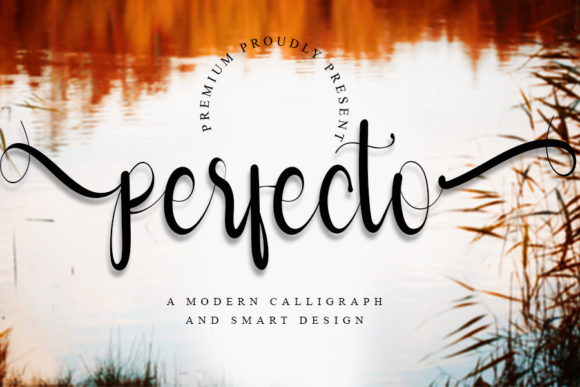 Perfecto: A Whimsical Script Font for Thoughtful Editorial Design