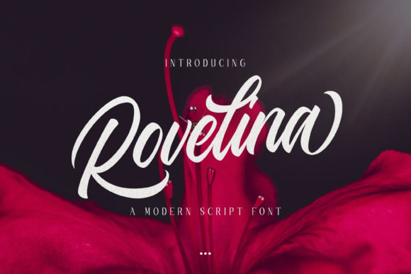 Rovelina: A Modern Script Font for Campaign Creativity