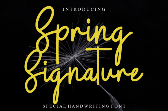 Spring Signature Font for Handmade Projects