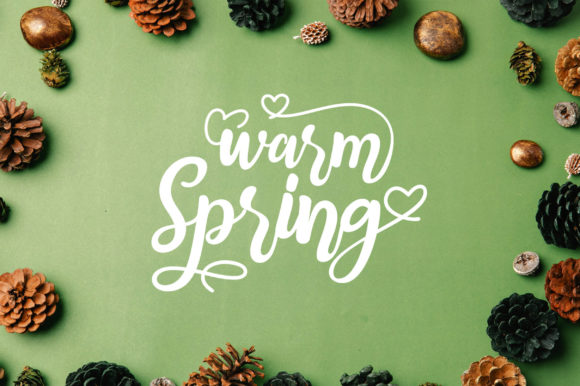 Warm Spring: A Refined Script Font for Modern Branding